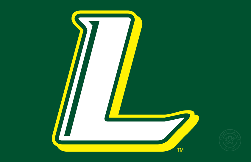 Le Moyne Dolphins 2008-Pres Secondary Logo v3 diy iron on heat transfer